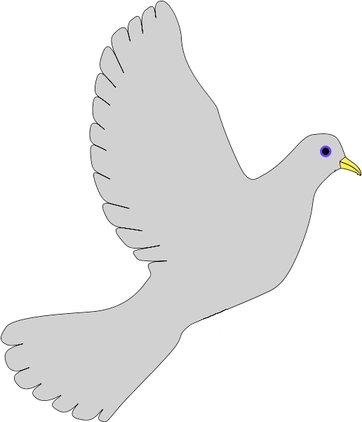 Http Upload Wikimedia Dove Grey Pigeons And Doves