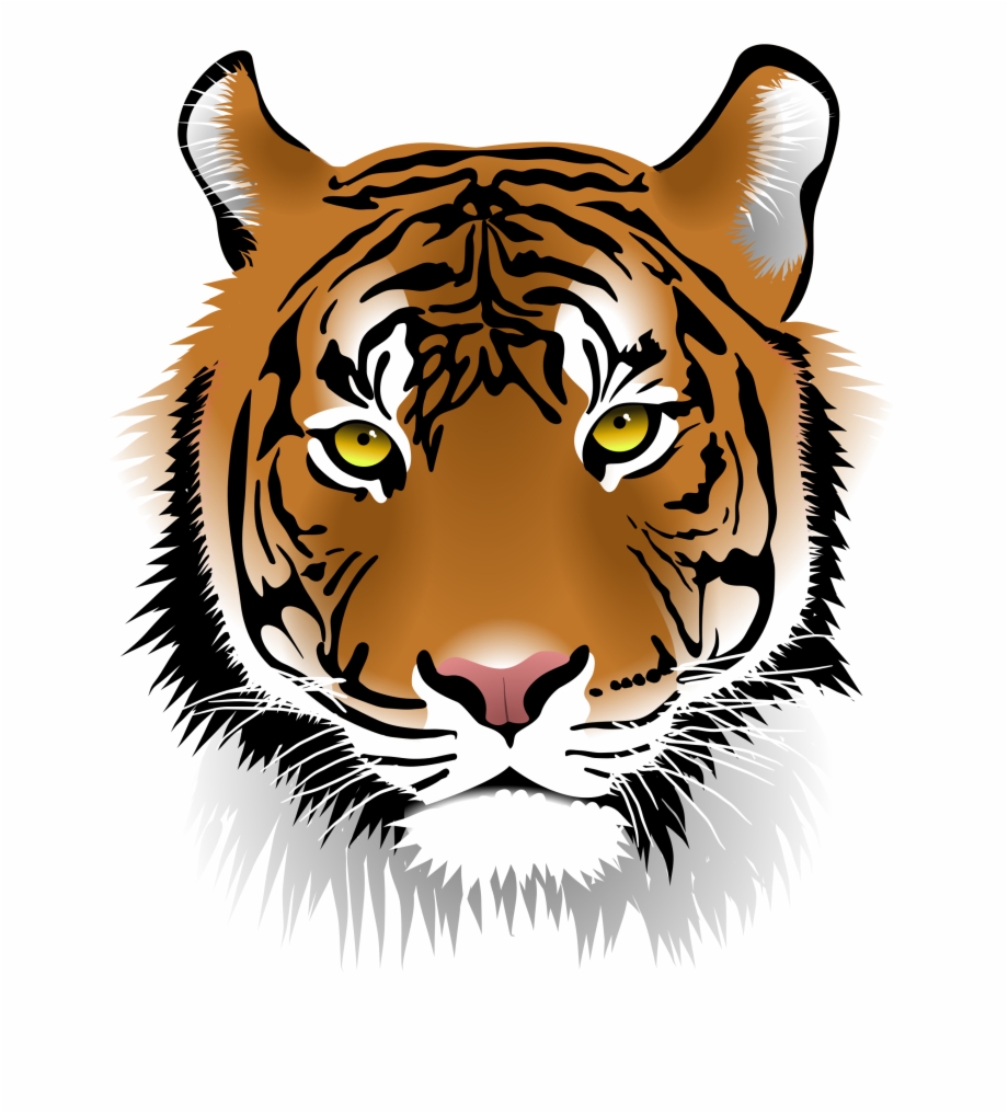 White Tiger Clipart Cool Tiger Tiger Face Png