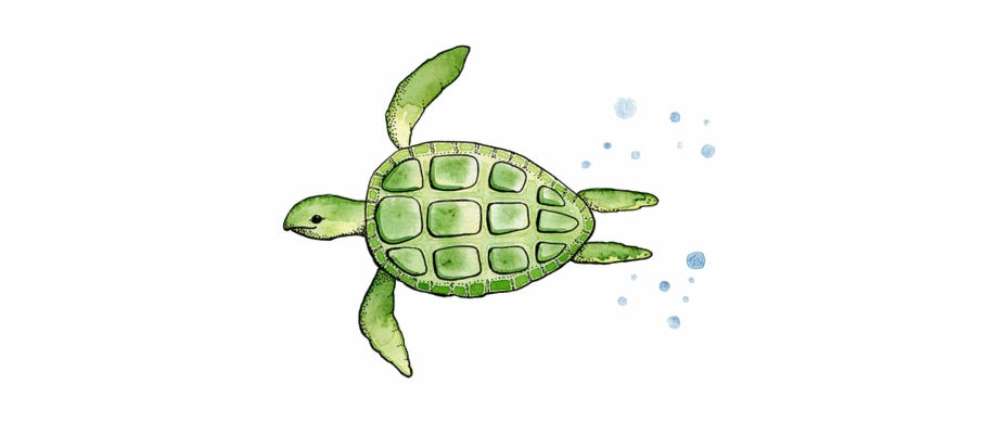 Watercolor Sea Turtle Transparent