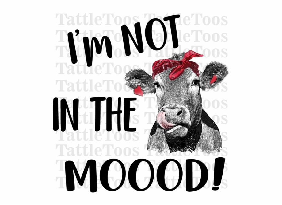 Notinthemoood Red Bandana Cow Heifer Don T Take