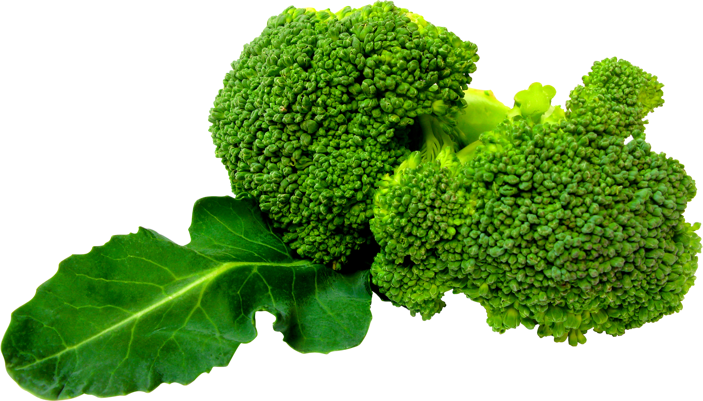 Vegetable Png