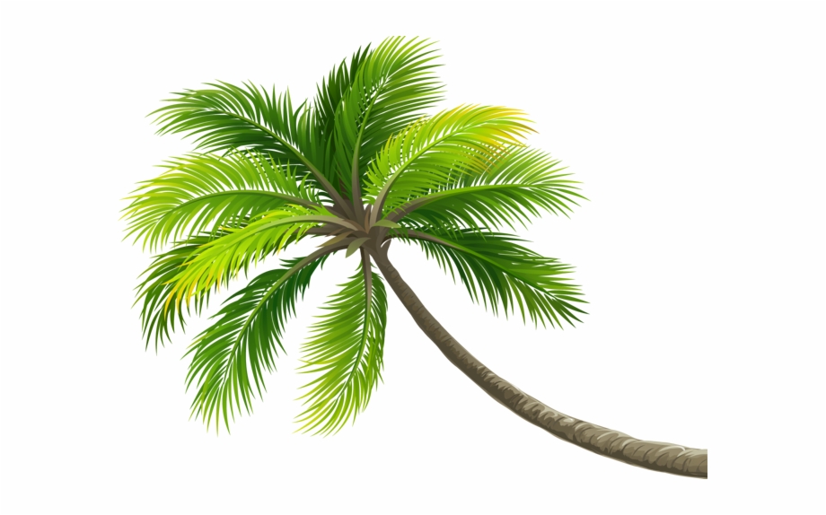 Palmtree Sticker Coconut Tree Logo
