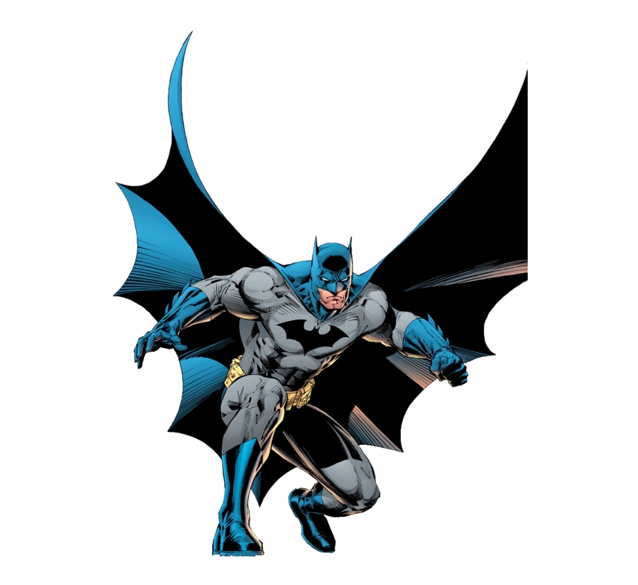 Batman Training Nightwing Batgirl Catwoman Ben Dc Batman
