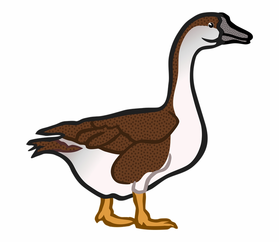 Duck Hunting Clipart Transparent Goose Clipart