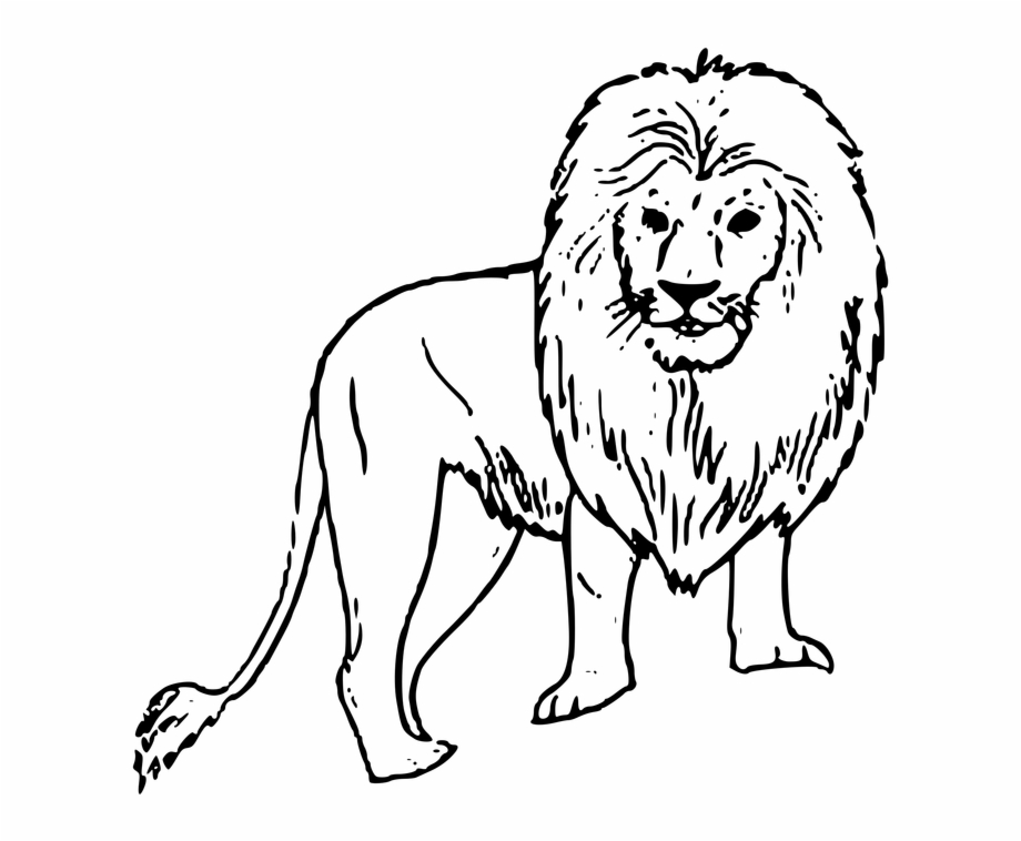 Image Of A Black And White Lion Easy