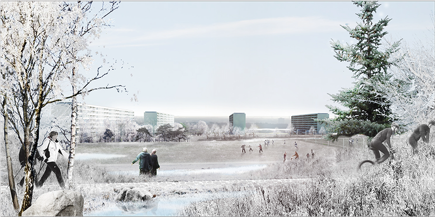Winter Gellerup Gror Landscape And Urban Revitalization Tree