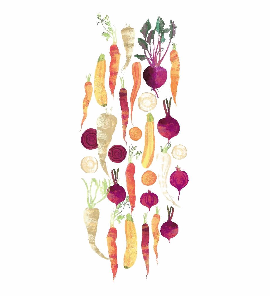 Graphic Black And White Library Carrot Clipart Watercolor