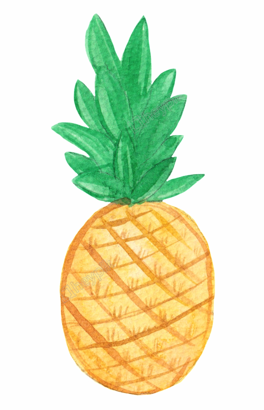 Drawing Pineapple Pastel Hello Pineapple