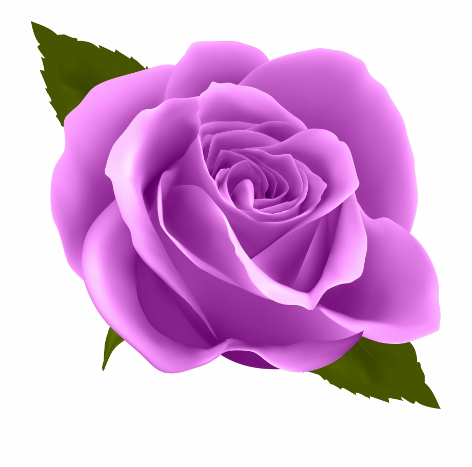 Clip Royalty Free Download Rose Flower Clip Art