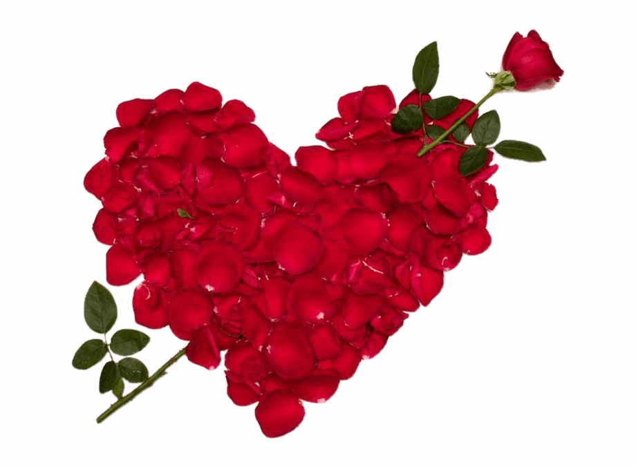 Valentines Day Roses Make Heart Transparent Png Images