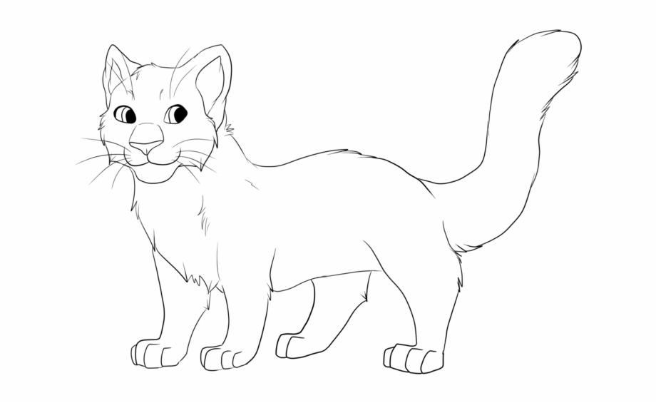 Fluffy Cat Drawing Kitten