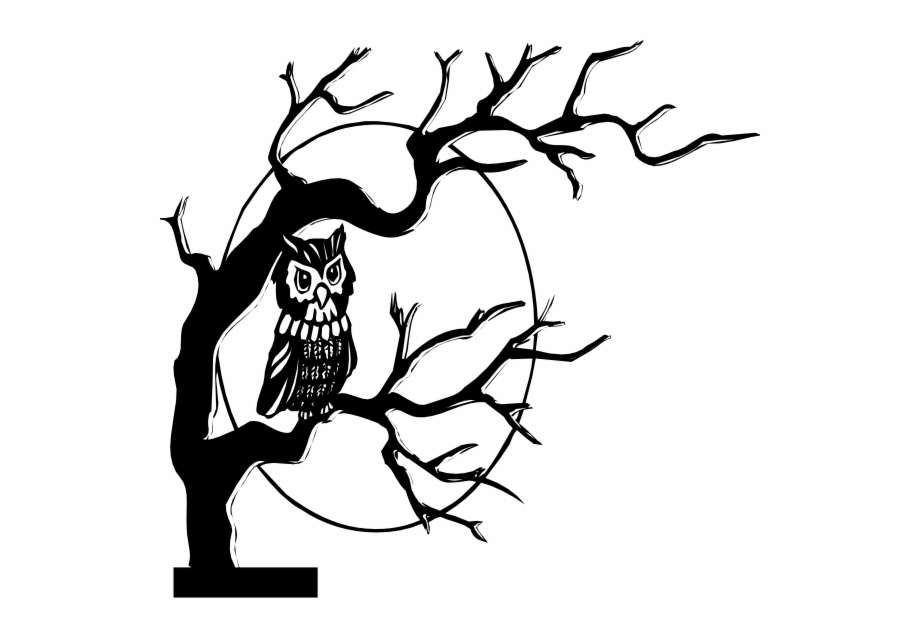 owl black and white

