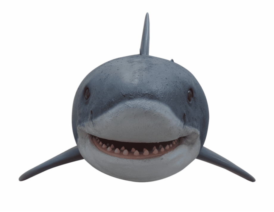 Free Shark Head Png, Download Free Shark Head Png png images, Free ...