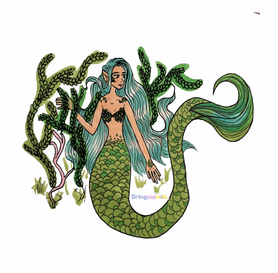 Green Scales Mermaid Digital Png Download Illustration