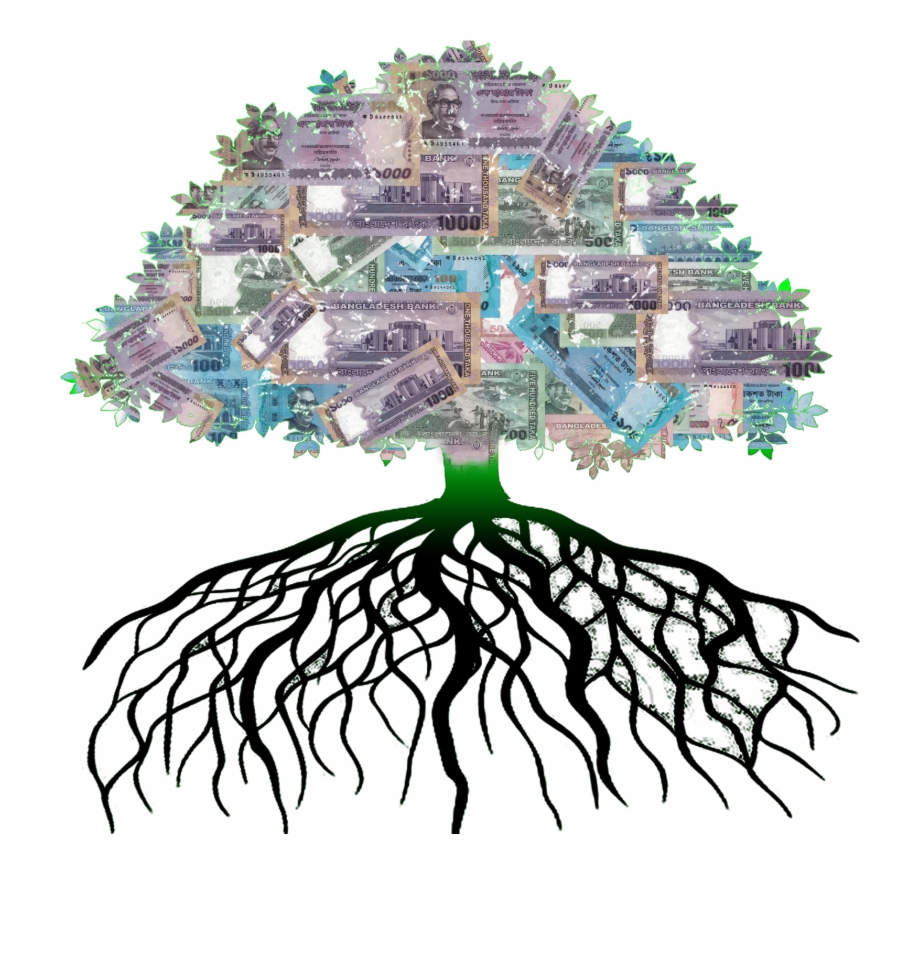  Money Tree Transparent Money Tree Png