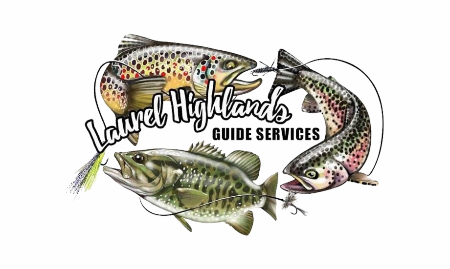 Get To Know Your Guide Trout