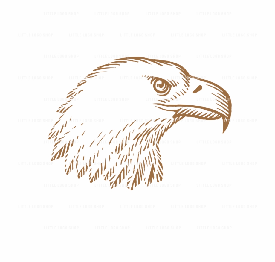 Geometric Eagle Png Bald Eagle