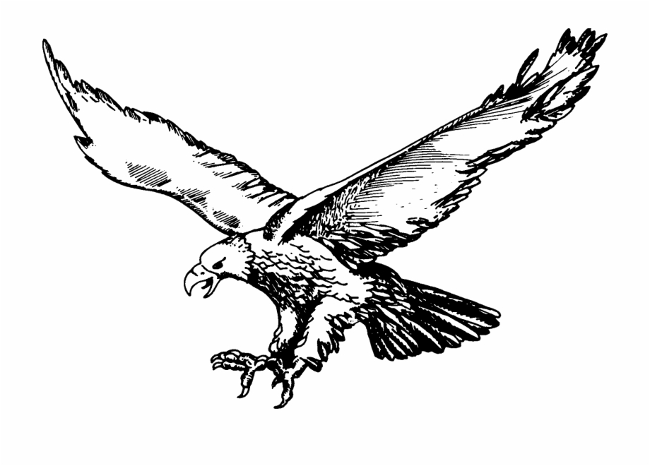 Image Result For Eagles Olivet High School Logo