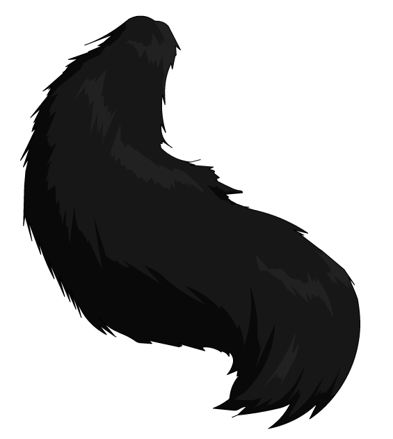 Cat Tail Png - Clip Art Library
