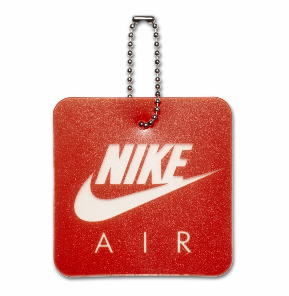 Air Max 1 Anniversary Nike Sb