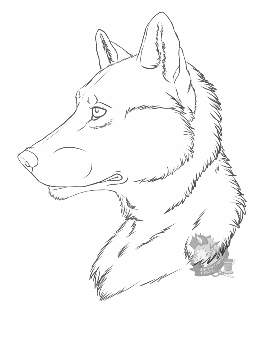 Drawings Random Wolf Line Art