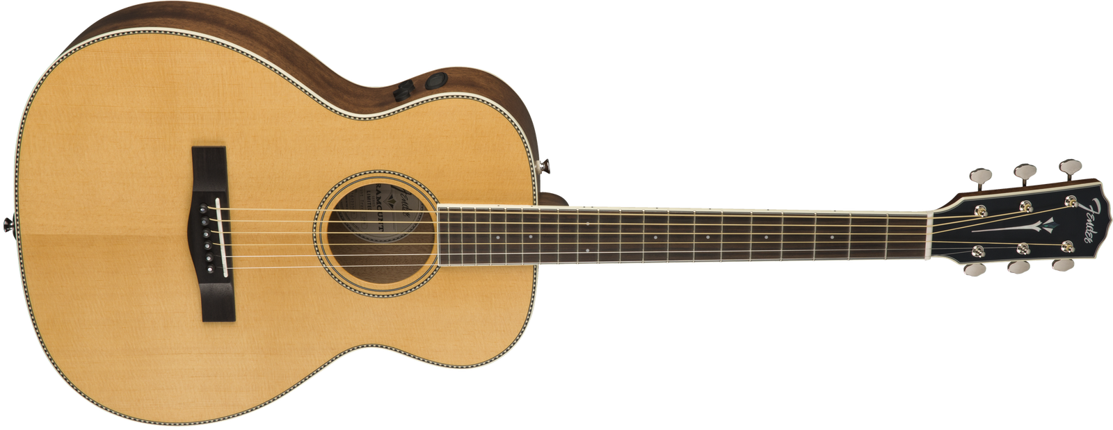 Norton Secured Acoustic Guitar