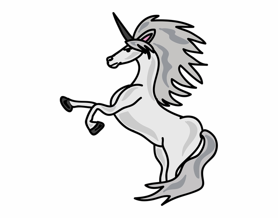 Fantasy Horn Creature White Magic Unicorn Black And
