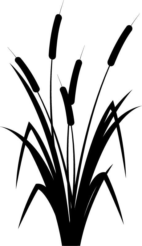 Nature Riet Png