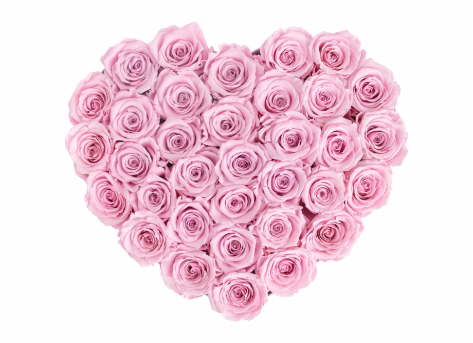 Free Rose Heart Png, Download Free Rose Heart Png png images, Free ...