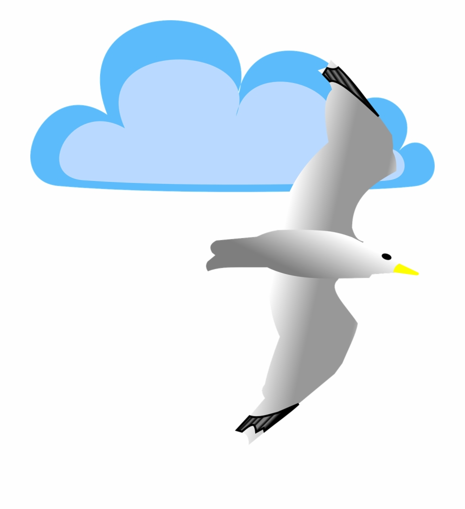Cloud Seagull Bird Flying Png Image Clip Art