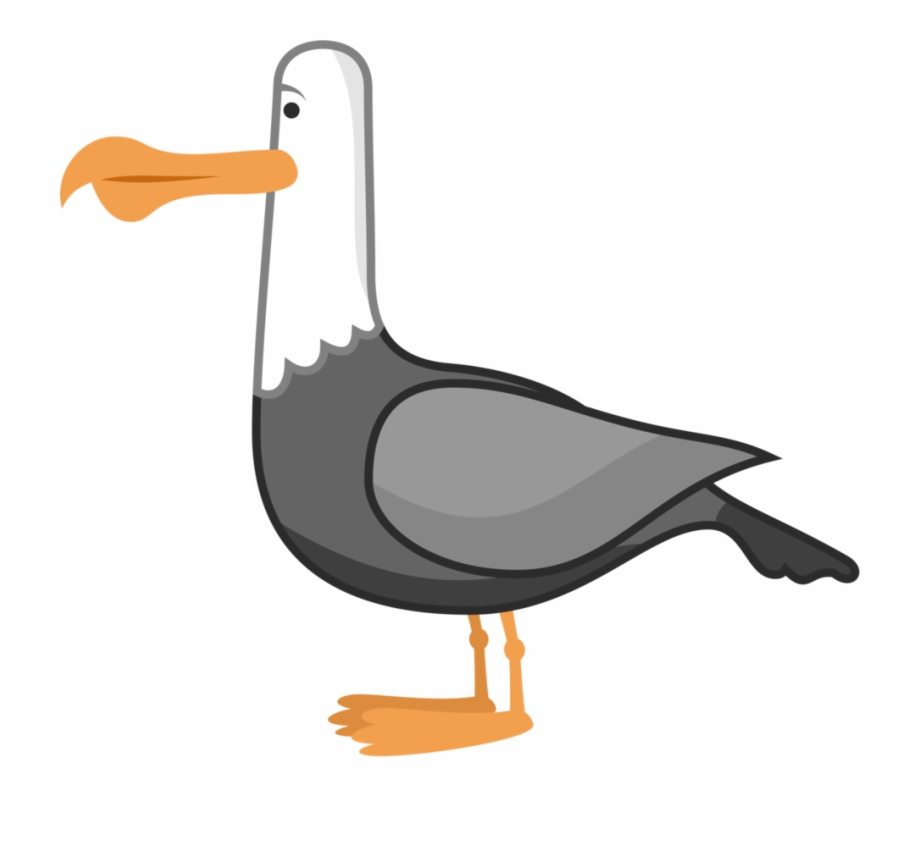 Seagull Finding Nemo Seagull Png