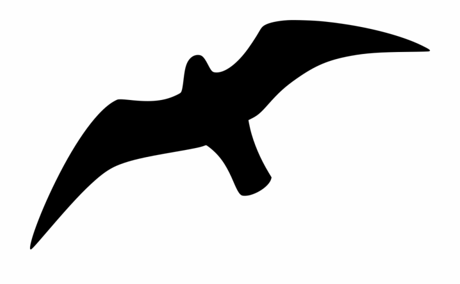 Download Png Seagull Outline