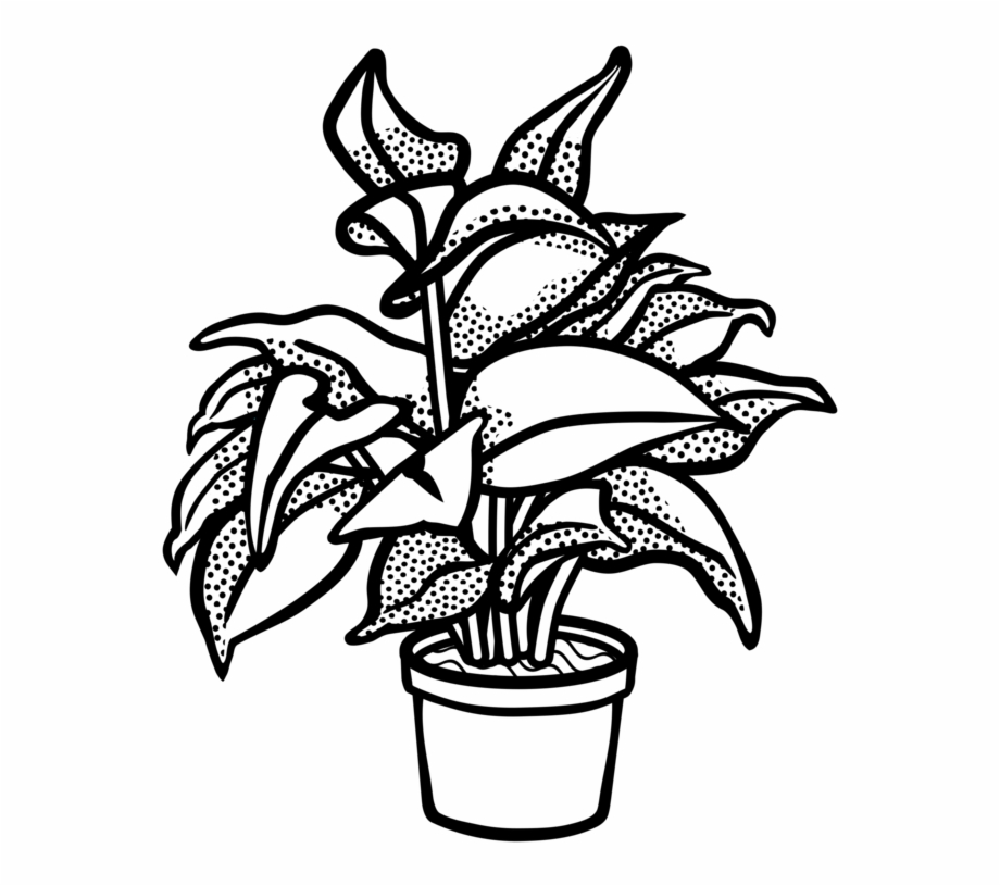 Pot Plant Clipart Drawn Plant In A Pot