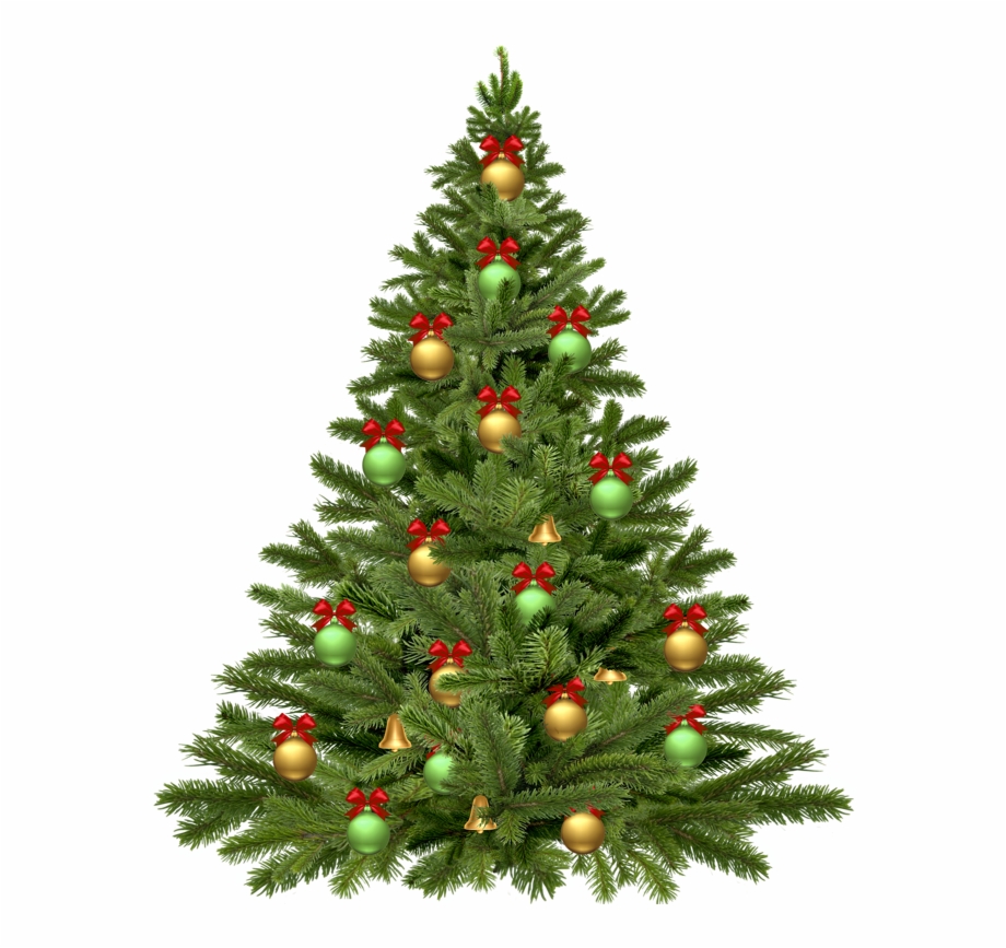 Free Christmas Tree With Transparent Background, Download Free ...