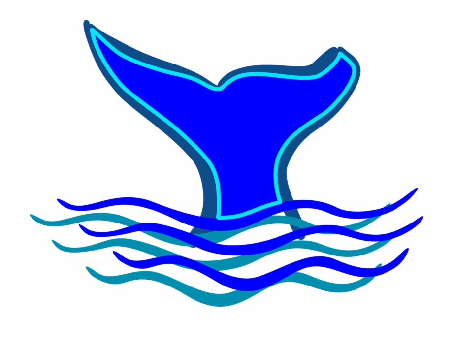 Whale Tail Fin Diving Water Png Image Whale