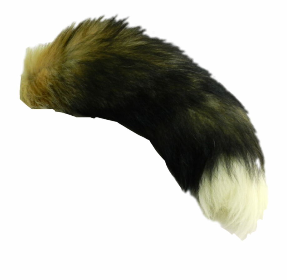 Fox Tails Png Download Fox Tail Transparent Background