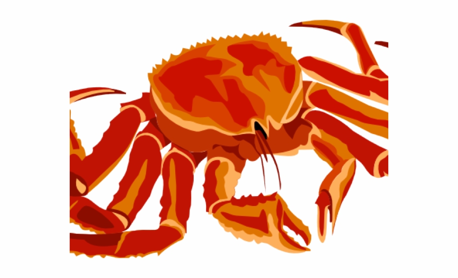 Seafood Clipart Spider Crab