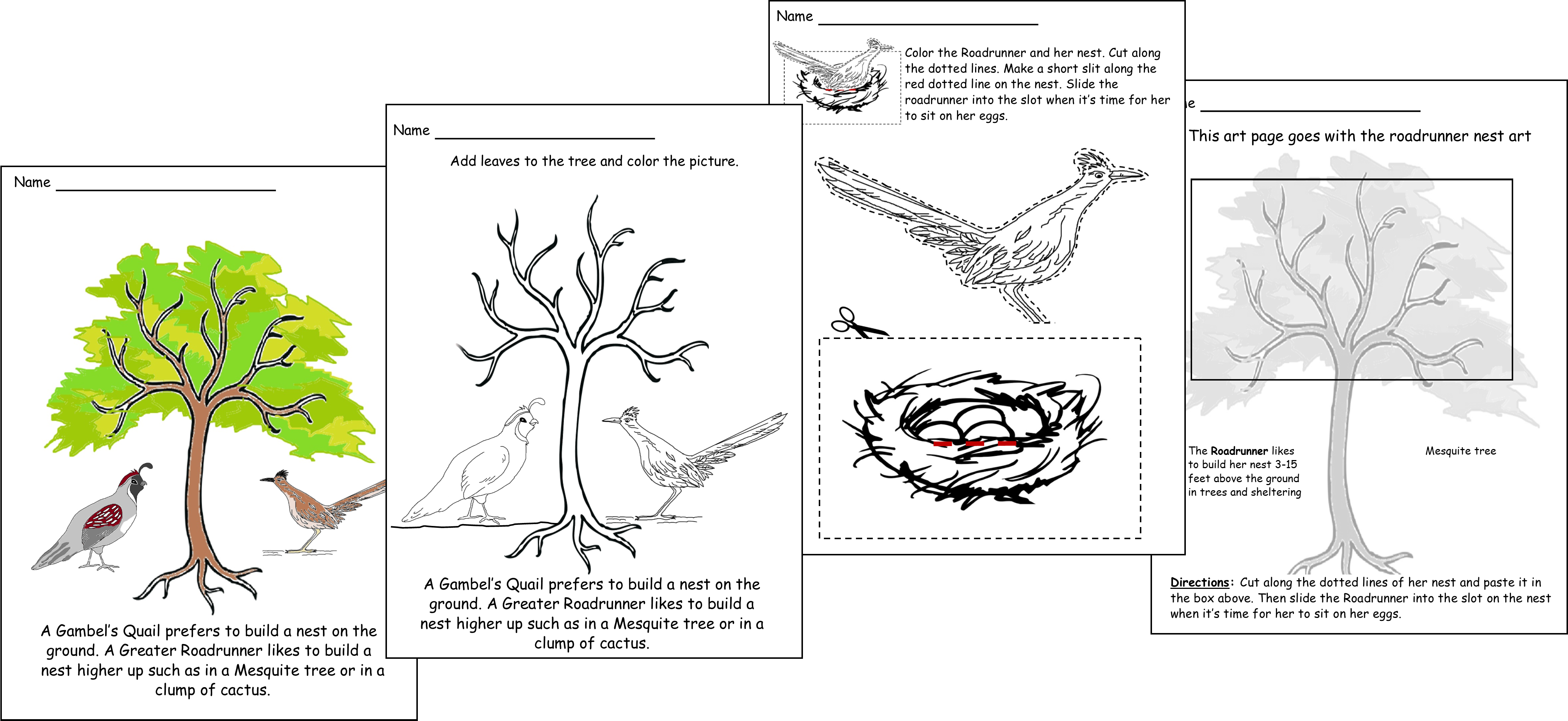 Black And White Drawings About The Greater Roadrunner