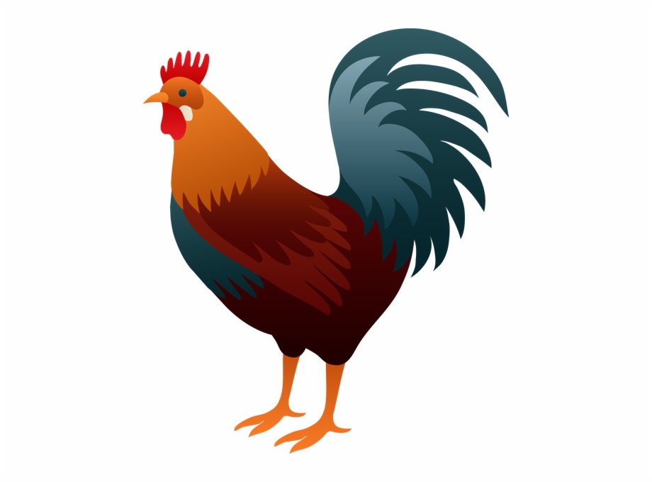 Rooster Rooster Clipart - Clip Art Library