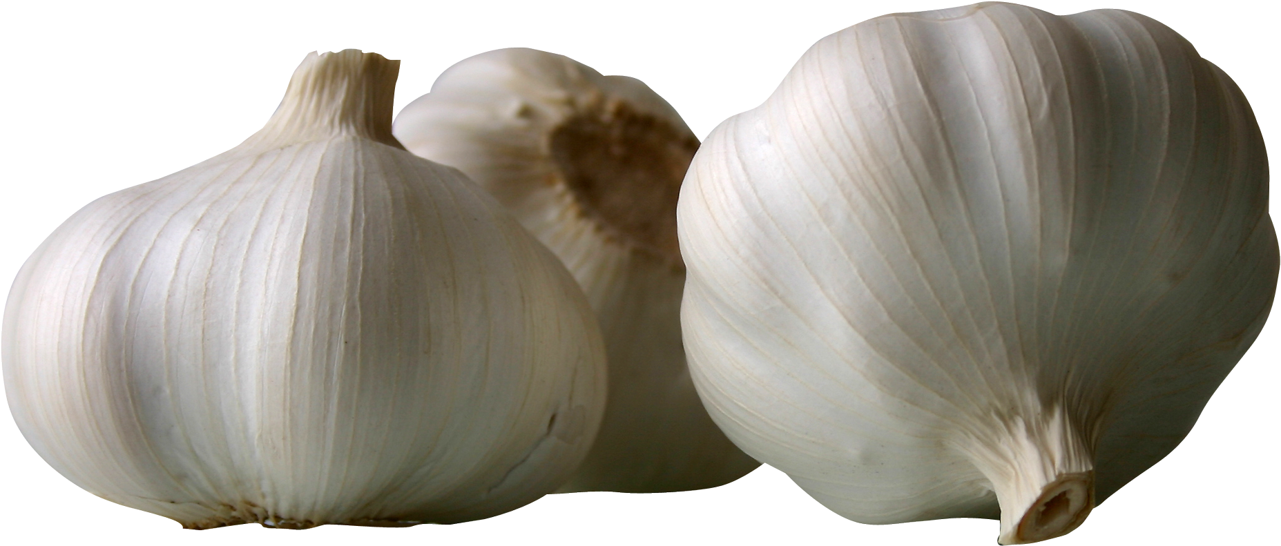 1968 X 948 Garlic
