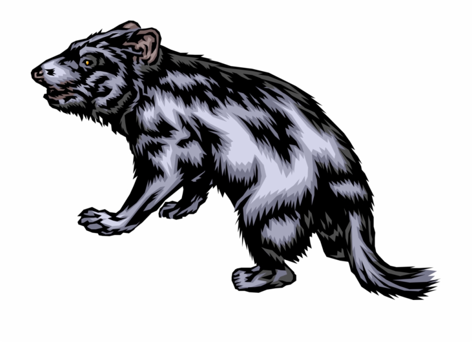 Vector Illustration Of Australian Carnivorous Marsupial Tasmanian Devil