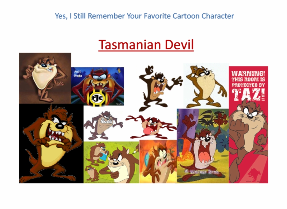 Tasmanian Devil Tasmanian Devil Cartoon