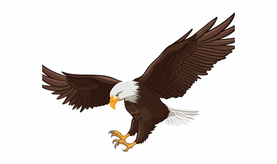 Bald Eagle Clipart Face Eagle Flying Realistic Drawing