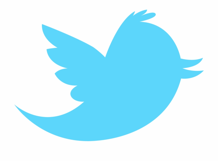 Twitter Bird Png Wallpaper Twitter Logo