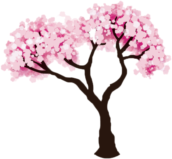 Blossom Clipart Springtime Tree Cherry Tree Drawing Easy