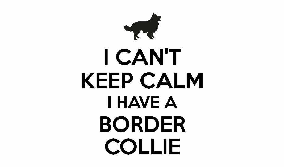 I Cant Keep Calm I Have A Border