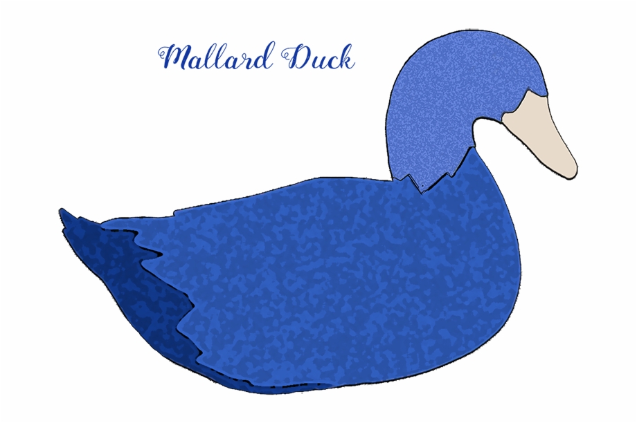 Mallard Duck Decoy Mallard Duck Mallard Duck Blue
