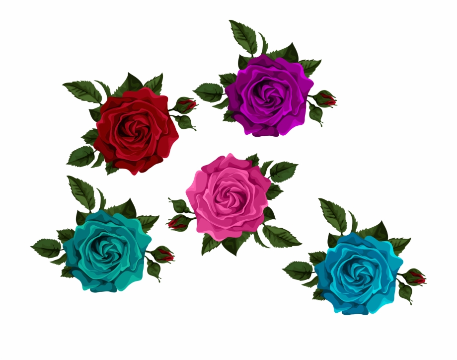Colorful Roses With Transparent Transparent Background Colorful Roses