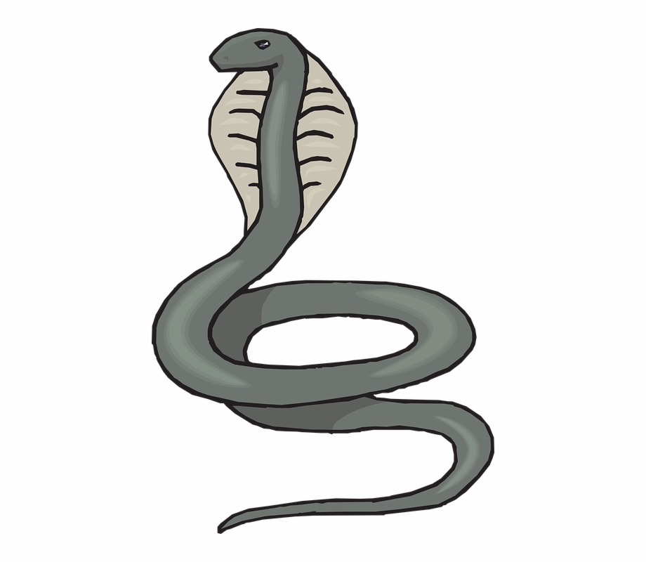 Head Snake Gray Cobra Raised Swirl Reptile Cobra