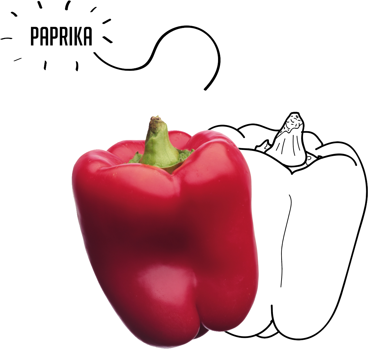 Bell Pepper Png Image Bell Peppers Png Transparent - Clip Art Library